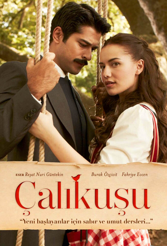Calikusu