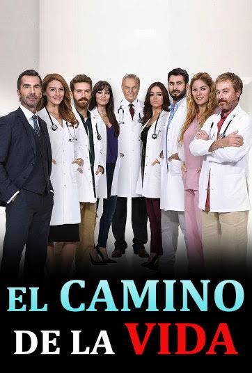 El Camino de la vida