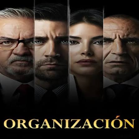Organización