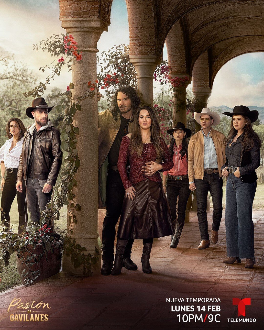 Pasión de gavilanes