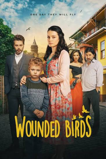 Wounded birds